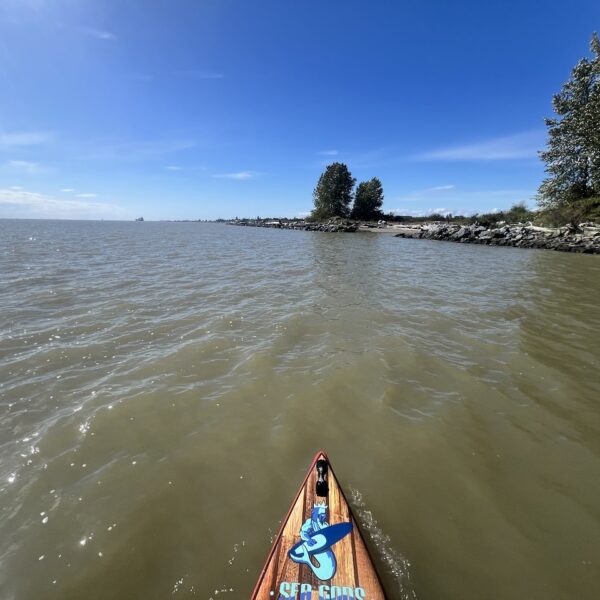 Paddling around Shady Island near Steveston, Richmond