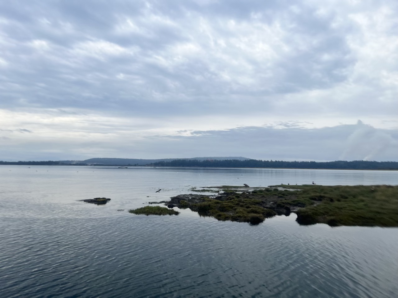 Nanaimo River Estuary Paddle