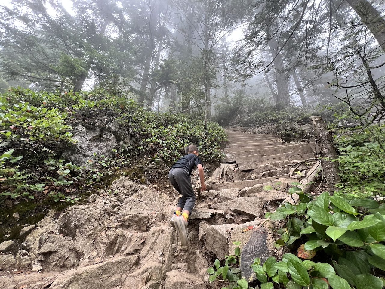 Grouse Grind at Grouse Mountain Regional Park