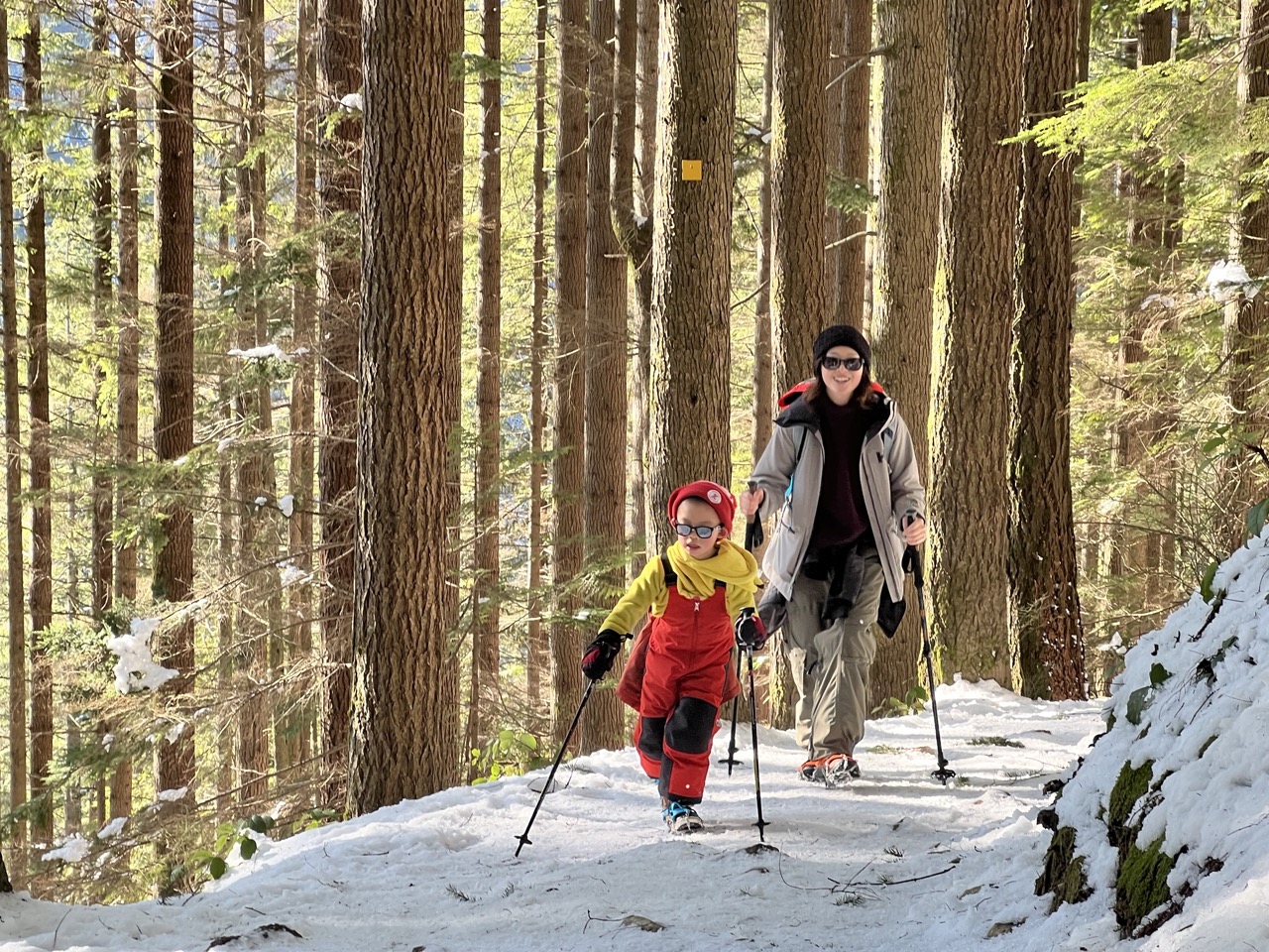 Snow Hike at Lynn Headwaters Regional Park